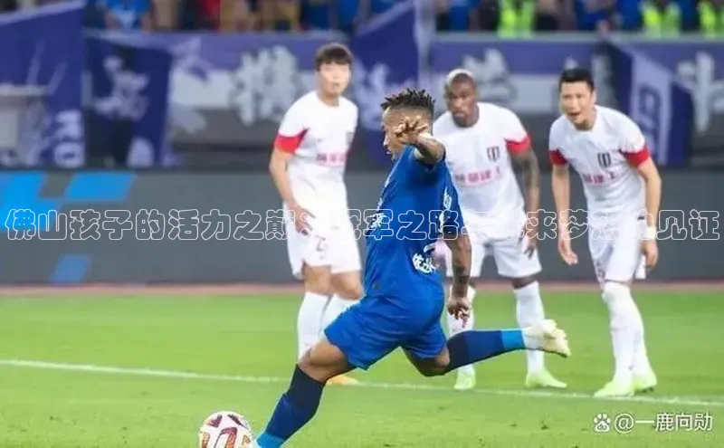 佛山孩子的活力之巅：冠军之路与未来梦想的见证