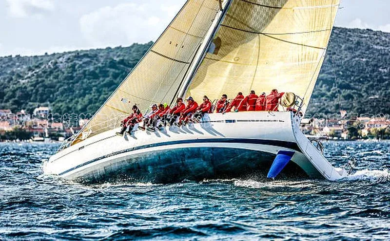 提升竞技精神与技术创新：探讨汽车运动赛事的主要意义