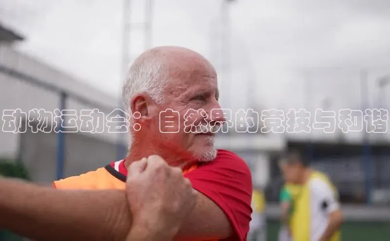 动物运动会：自然界的竞技与和谐