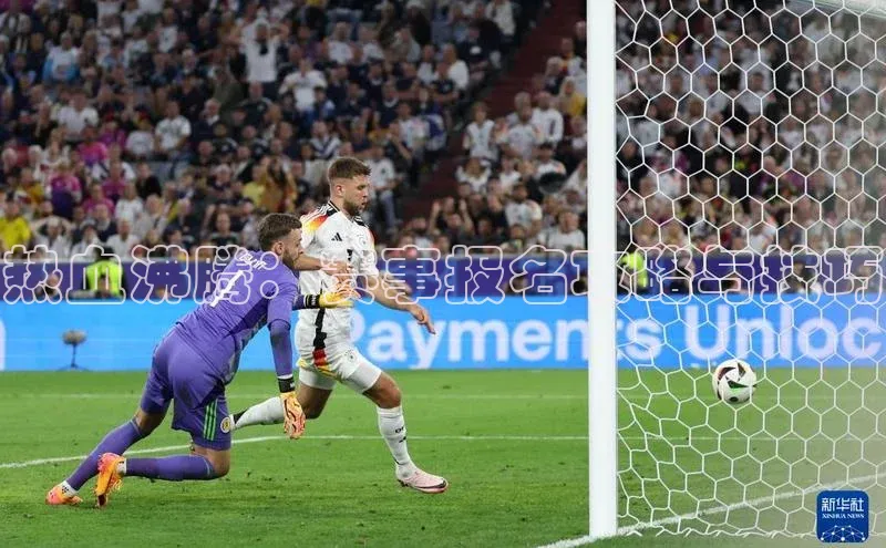 热血沸腾：赛事报名攻略与技巧