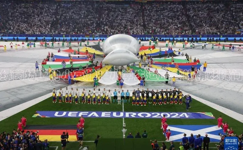 绿茵场上的小英雄：小学生运动会的精彩瞬间