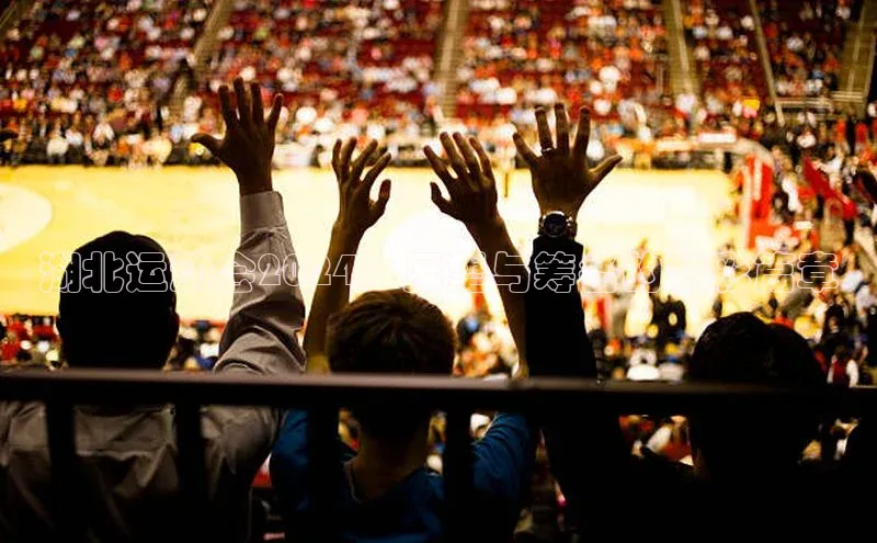 湖北运动会2024：展望与筹备的精彩篇章