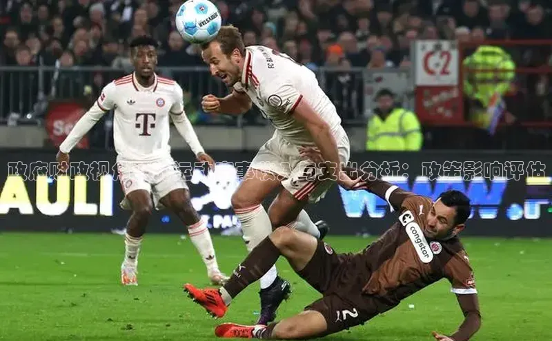 政府财政视角下的运动赛事收入与支出分析：政策影响评估