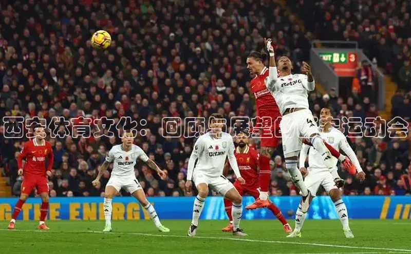 九游会·(J9)官方网站