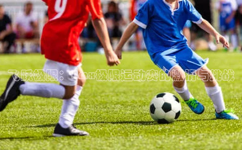 飞跃极限：Bmx极限运动赛的激情与挑战