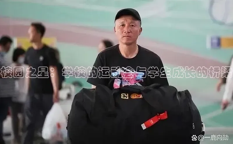 校园之星：学校的运动会与学生成长的桥梁
